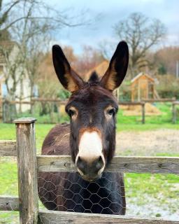 Parcel Tiny House I L'Arche des Hays - 7