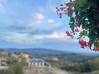 B&B La Terrazza Polifrone - 1