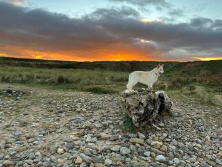 Luxury van at Redcar Beach - 7