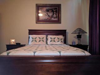 Charming Family-Friendly Cabin Rental by Guadalupe River near New Braunfels, Texas - 5