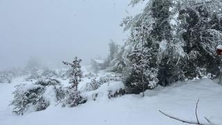 Hermosa y acogedora cabaña de montaña - 8