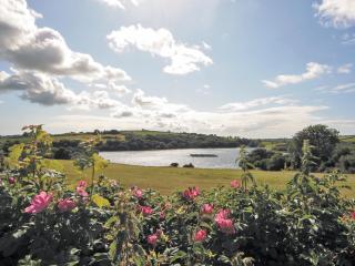 Ty Clyd - Hw7657 - 3