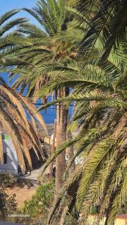 Vv Casa Zoila A 15 Minutos del Garajonay - 3