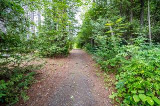 The Pines Woodland Retreat With Pool and Outdoor Pavilion - 7