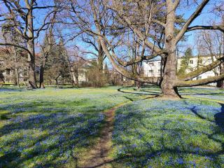 Apartament Skorupki 11 - 2