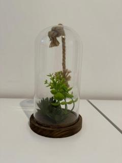 Harbourside Apartment - 1 Bedroom - Sleeps 2 - 3