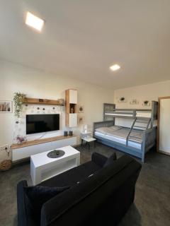 Apartmán v centru Trutnova - 0