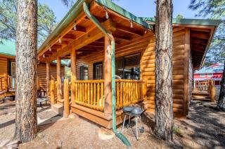 Cozy Cabin in Bison Ranch - 4