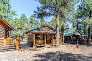Cozy Cabin in Bison Ranch - 1