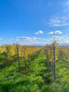 KStay Apartment-Kombi im EG und DG für bis zu 8 Personen mit Dachterrasse, Parkplätzen, Smart-TVs - Eltville - 0