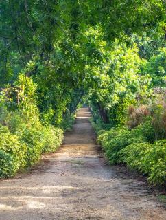Ayurveda Colonial Mansion - 4