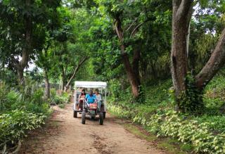 Ayurveda Colonial Mansion - 2