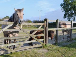 Ty Clyd - Hw7657 - 2