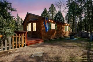 Modern Mountain Cabin, Fireplace, Deck with Deer Views, Near Wolf Center - 5