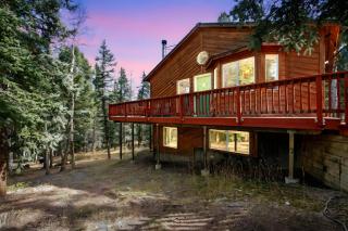 Modern Mountain Cabin, Fireplace, Deck with Deer Views, Near Wolf Center - 4