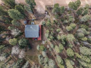 Deer-Friendly Cabin with Mountain Views and Fire Pit - 1