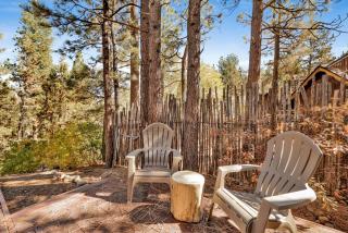 The Wilkie Cabin #339 - 1