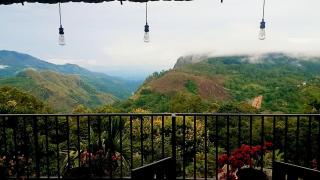 Golden View Guest Ella - 9