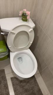 Cozy Private Basement Suite Beside Plaza Free Parking Walk to Groceries & Dining - 8