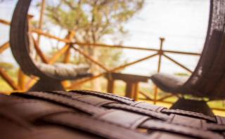 Bela bela Omdera - 9