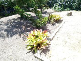 Recanto da Natureza - 2