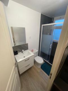 Studio F lumineux refait à neuf - 7