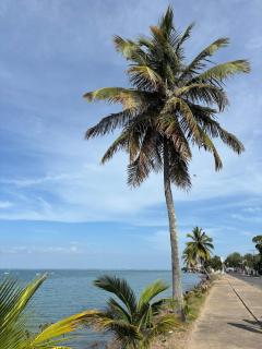 Casa grande - Raio do Sol - 0