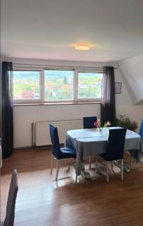 Apartman Petra Zabok - 1