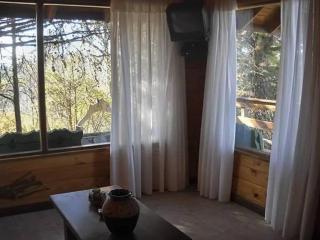 Complejo Los Abedules - 1