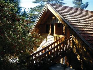 Complejo Los Abedules - 0