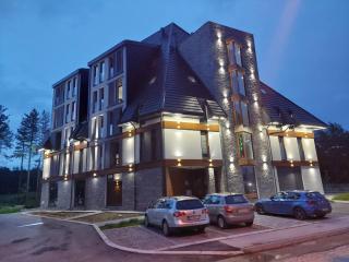 Apartmani Borovi Divčibare - 9