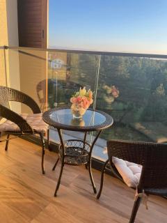 Apartmani Borovi Divčibare - 6