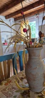 Casa de Amigos - Moradillo - 1