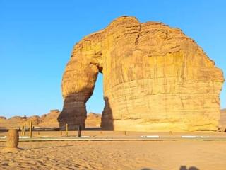 لانا العلا شقق مفروشة Lana Alula - 8