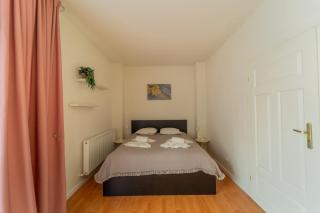 Cozy Semi-Central apartment with free parking and workspace - 8