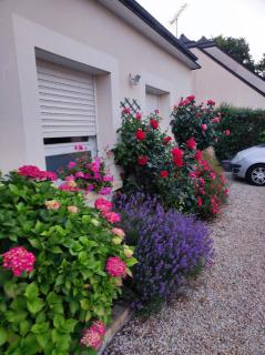 Chez Nanou côté mer - 7