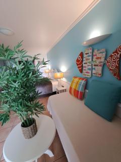 DESIRADE 18 sainte luce - 7