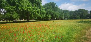Private Room in Light, spacious flat, next to Broadway Market, E8 - 4