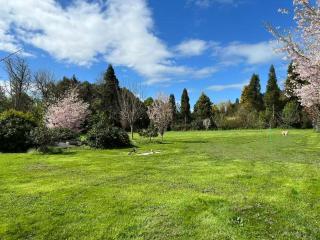 Tamahere Lifestyle - 8