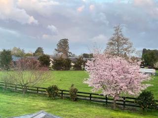 Tamahere Lifestyle - 4