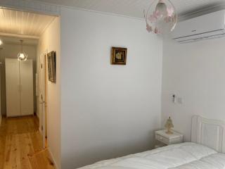 Melro-d' água - Manteigas - 5