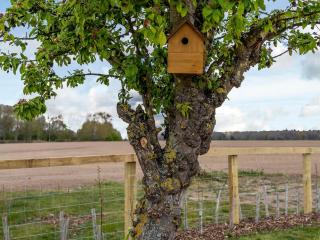 Old Alton Hall Farmhouse - 3