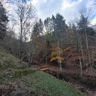 Cabane octogone sauvage - Octogonia, Ardèche - 7
