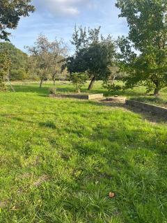 Les Petites Écuries - 1