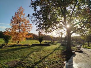 Les Petites Écuries - 3