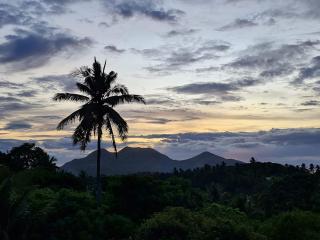 The Weekend Farmer - 0