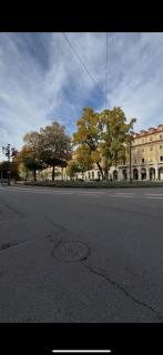 Gold Apartment Statuto - 9