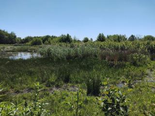 4 star holiday home in Præstø-By Traum - 6