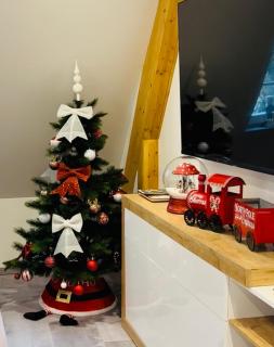 Duplex confort exceptionnel hyper centre parking à proximité - 0