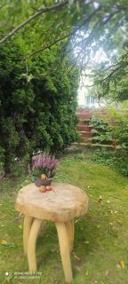 Noclegi W Sadzie - 7